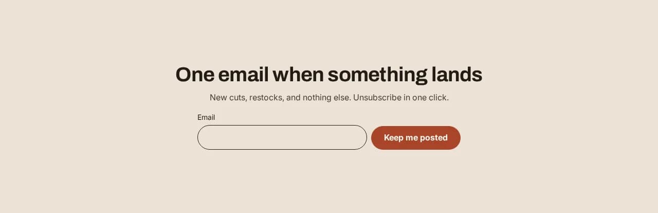 The newsletter section, as it renders on a real storefront