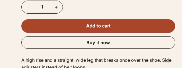The quantity stepper, Add to cart and Buy it now buttons with the accepted payment methods below them